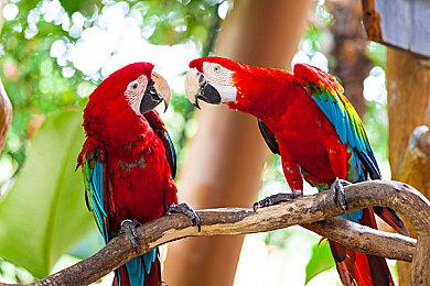 游戏仍无消息 《Dark and Darker》推出定制咖啡套装